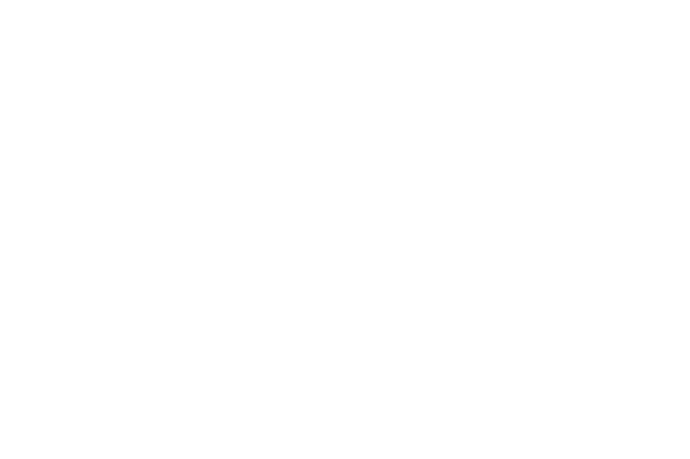 Mete Gelo